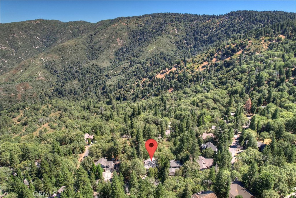 30184 Sky Line Drive Property Photo 3