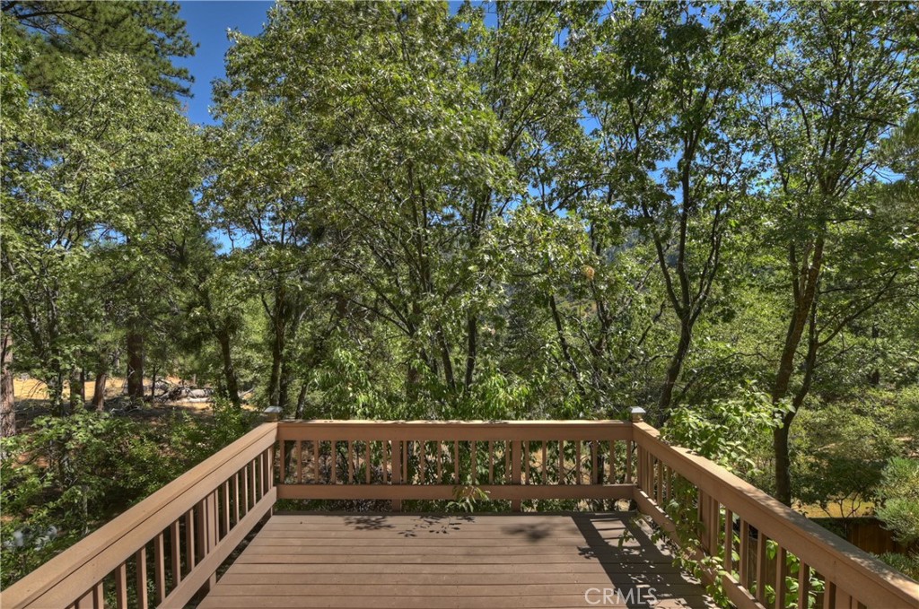 30184 Sky Line Drive Property Photo 43