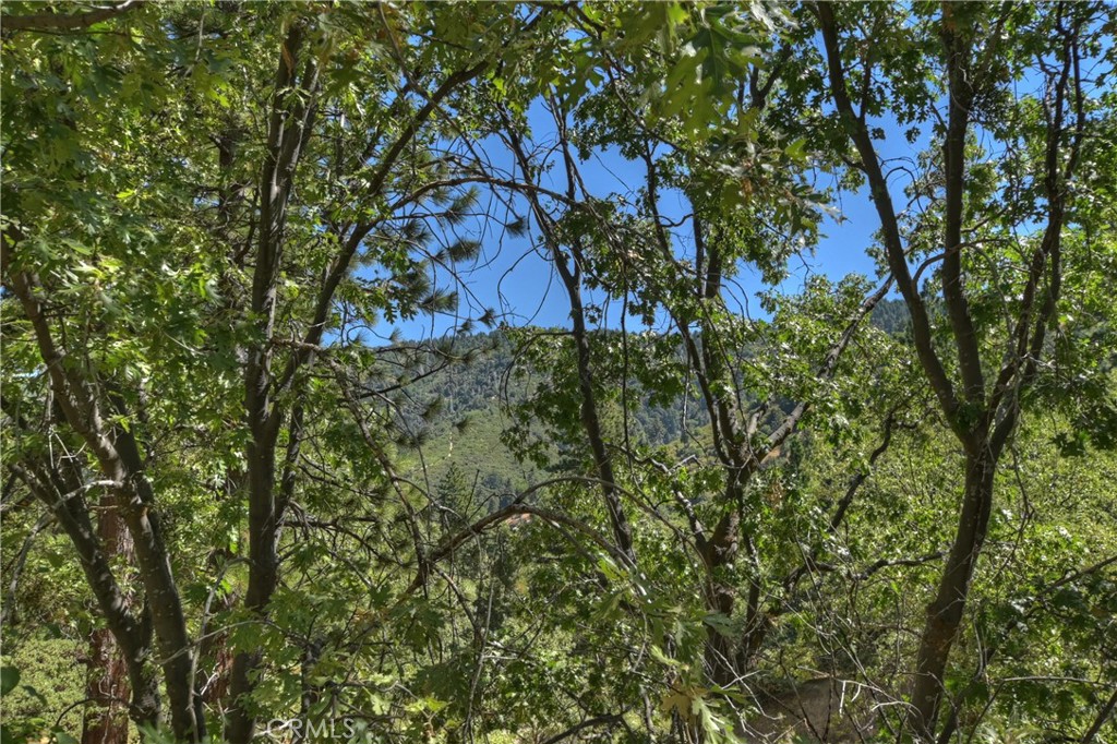30184 Sky Line Drive Property Photo 45