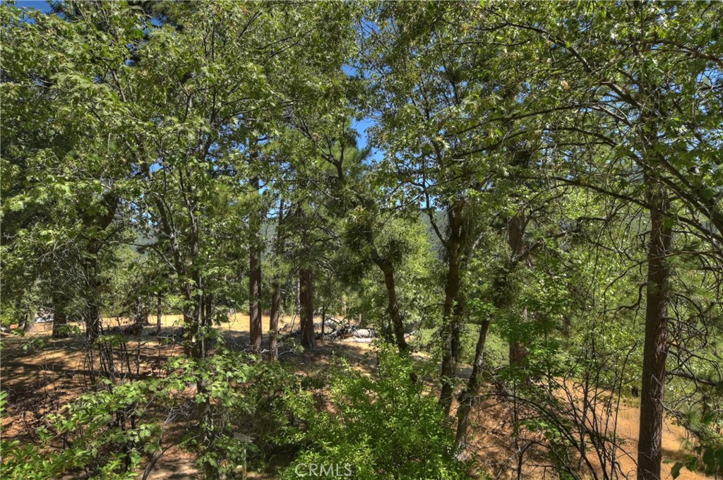 30184 Sky Line Drive Property Photo 46
