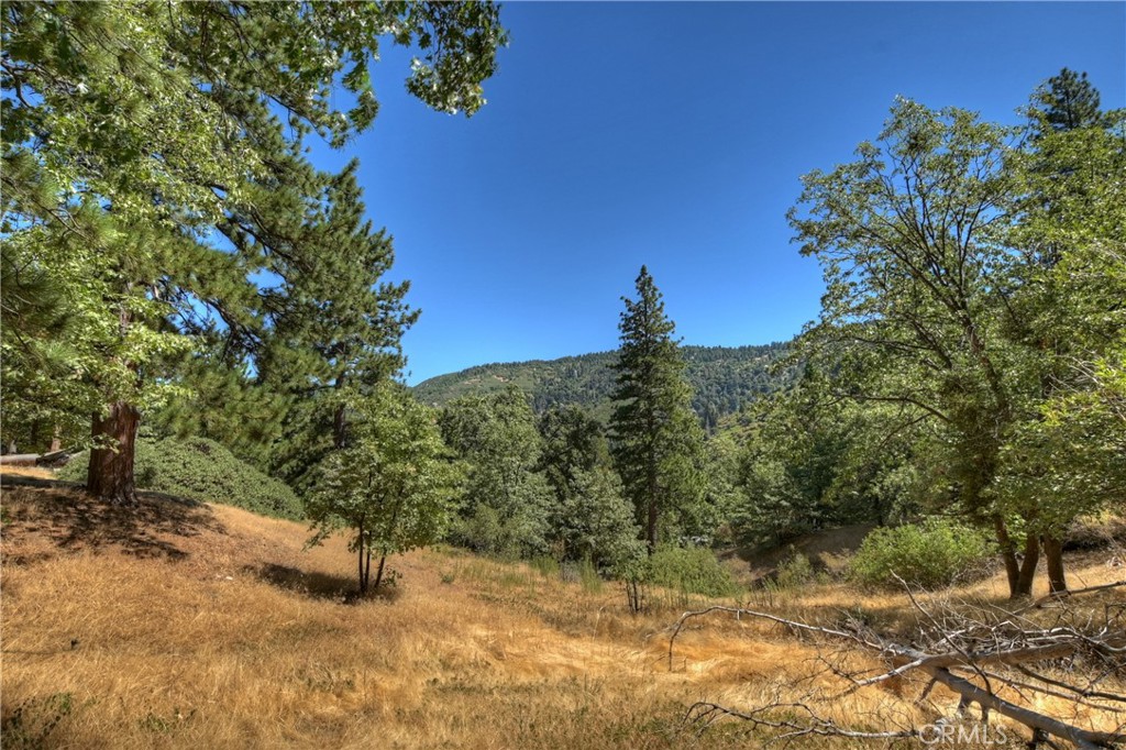 30184 Sky Line Drive Property Photo 47