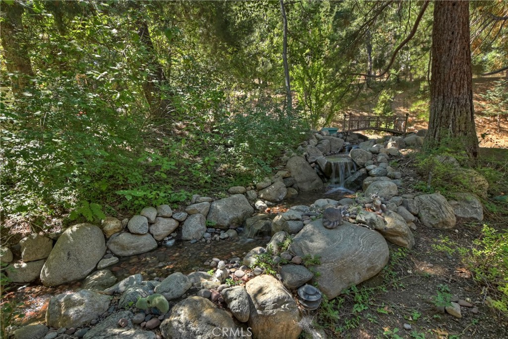30184 Sky Line Drive Property Photo 54