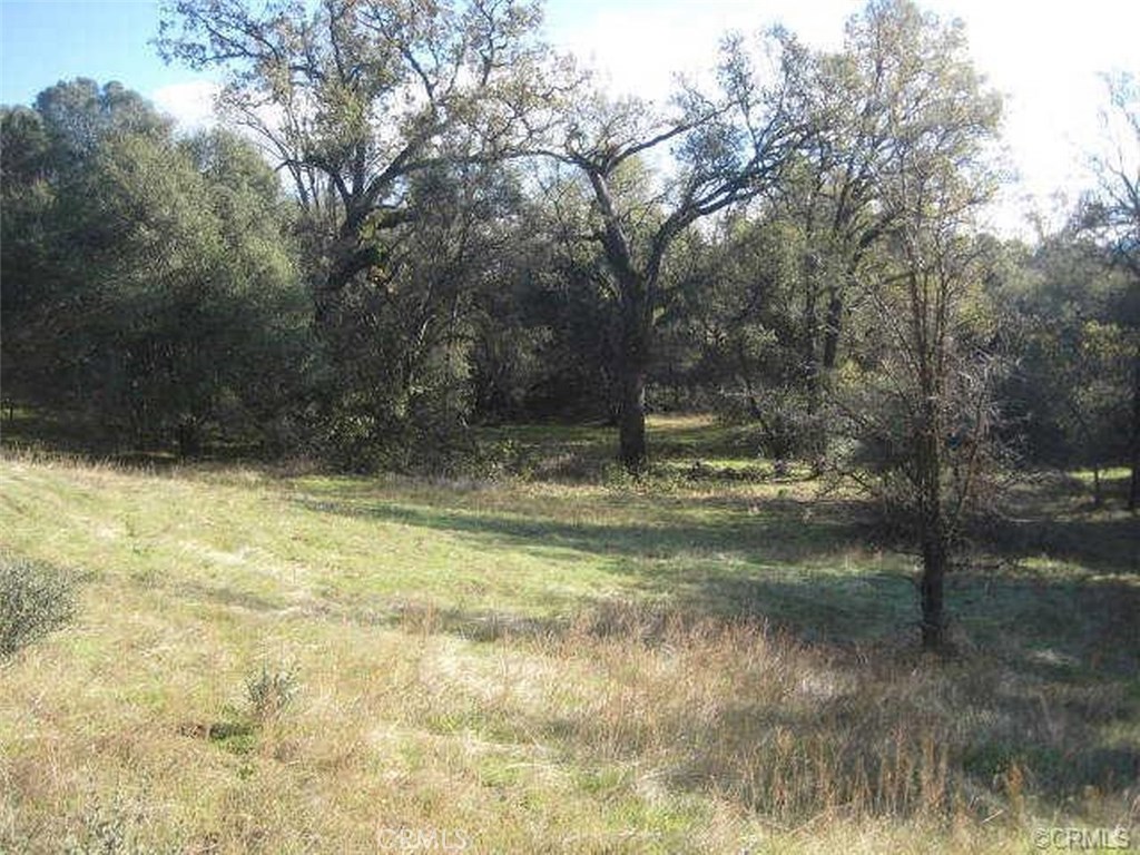 0 50.59 Ac Westlake Drive Property Photo 1
