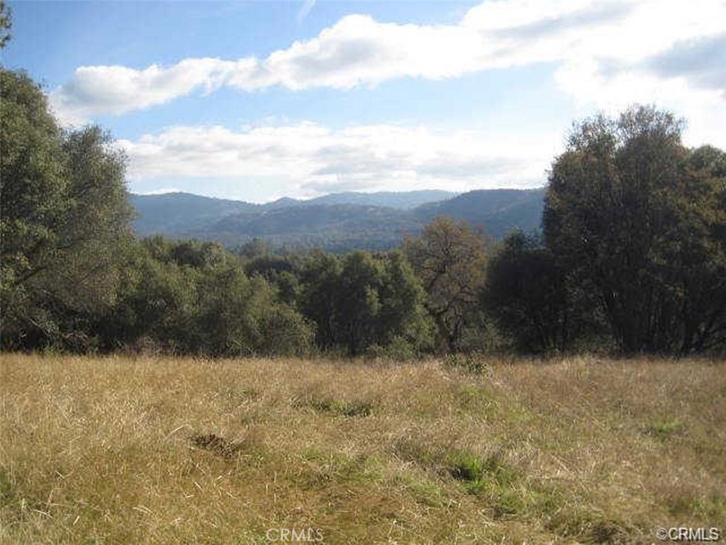 0 50.59 Ac Westlake Drive Property Photo 2