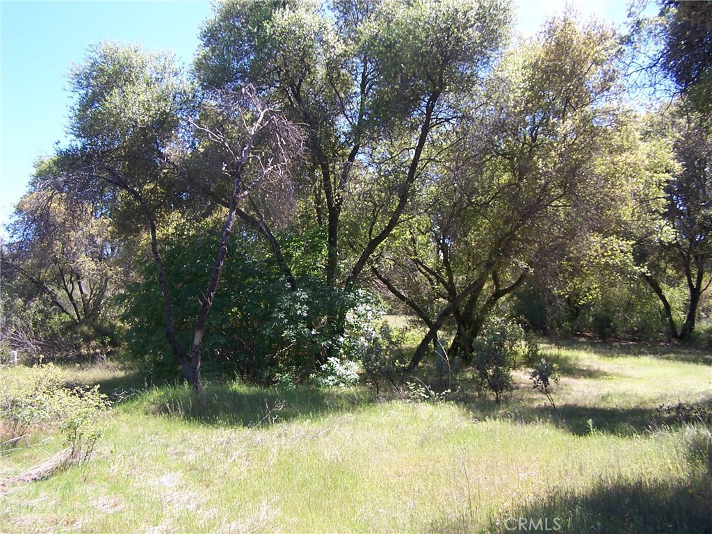 0 Stone Ridge Property Photo 1
