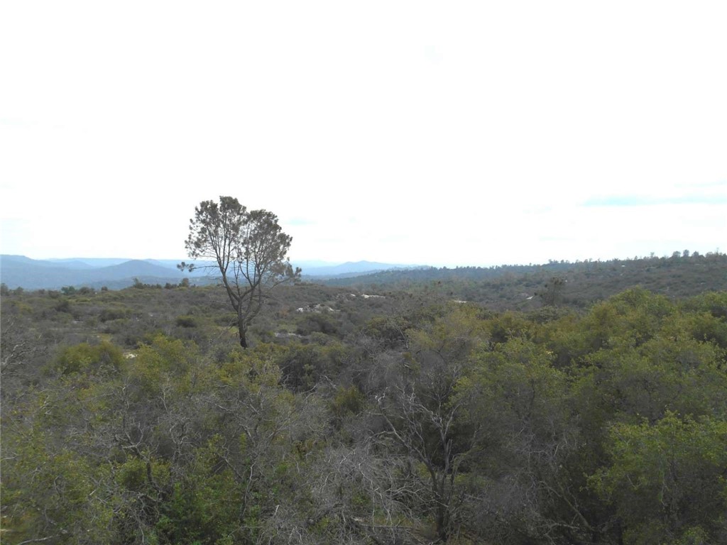 0 Lot 11 Flying O Ranch Road Property Photo