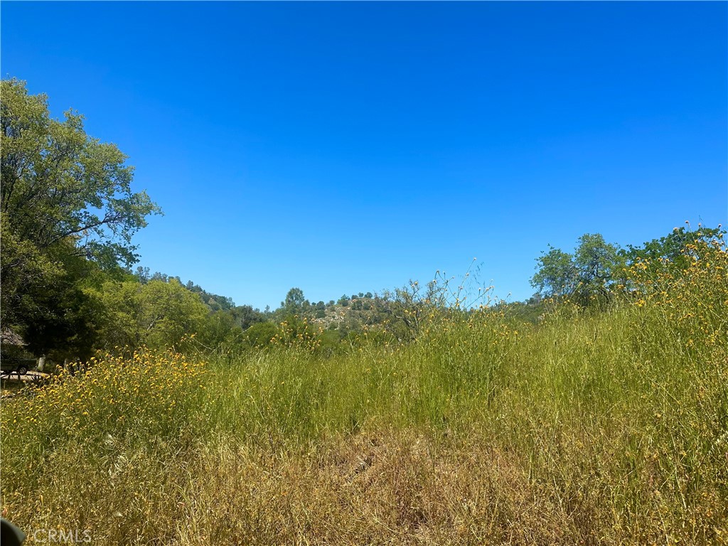 0 N Dome Drive Property Photo 3