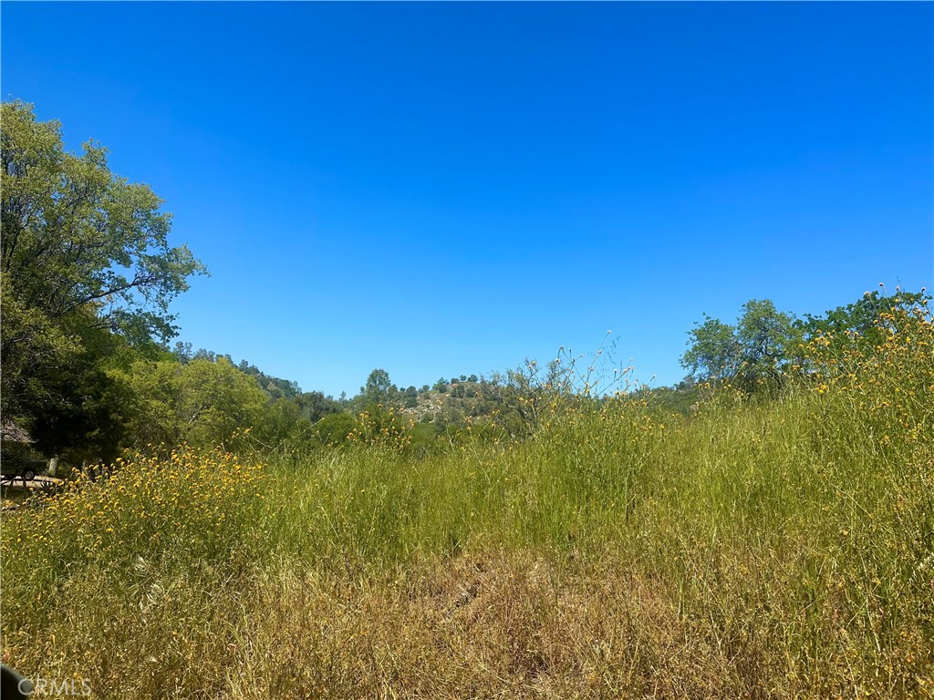 0 N Dome Drive Property Photo 4
