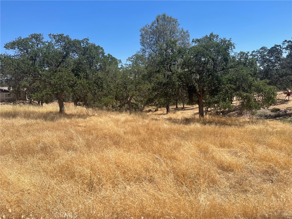 0 Horseshoe Property Photo 1