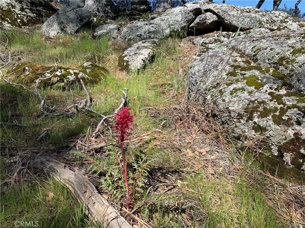 123 Quartz Mountain Property Photo 4