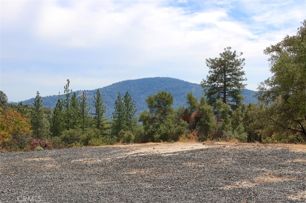 2232 Sunset Drive Property Photo 7