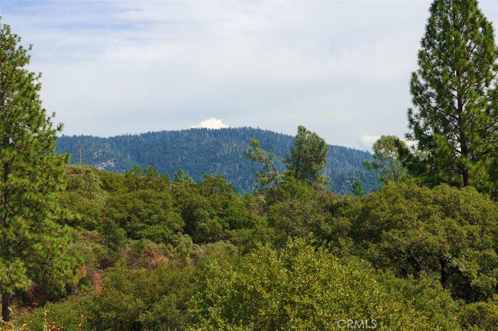 2232 Sunset Drive Property Photo 8