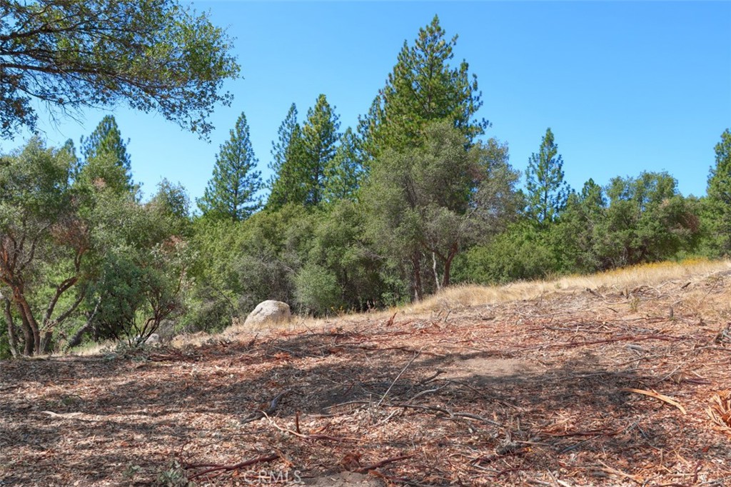 2232 Sunset Drive Property Photo 14