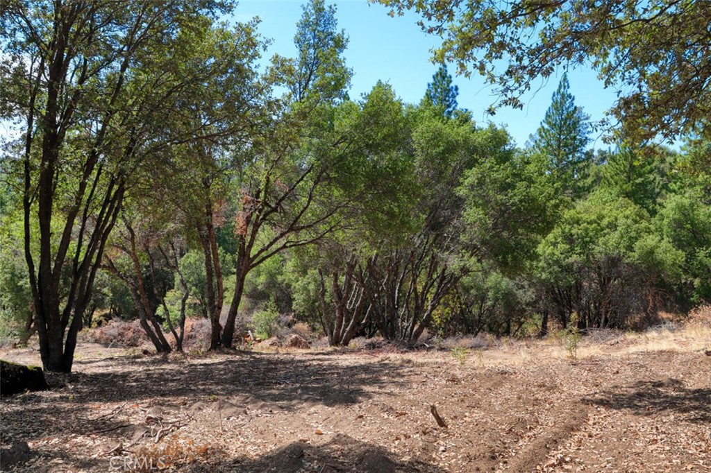 2232 Sunset Drive Property Photo 16