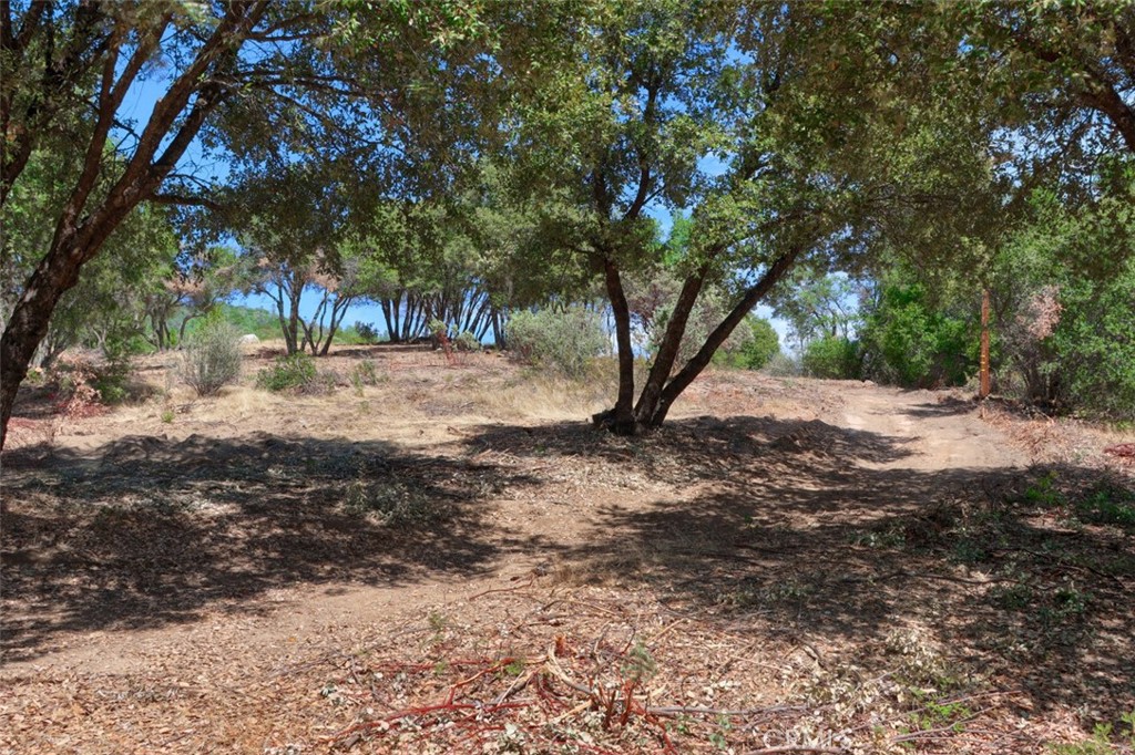 2232 Sunset Drive Property Photo 18