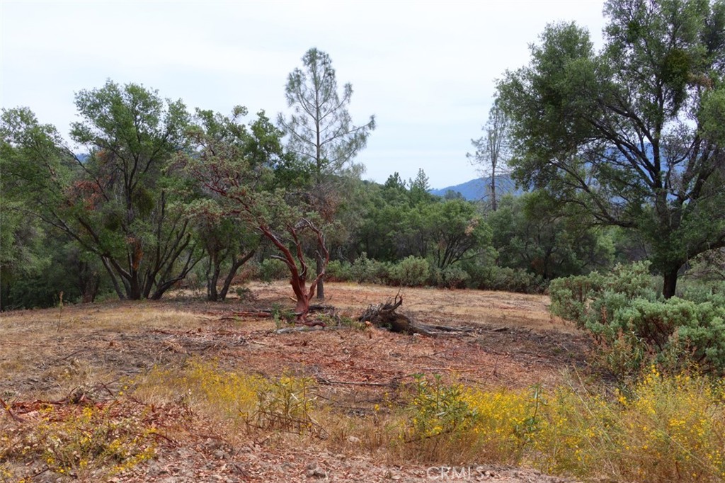 2232 Sunset Drive Property Photo 19