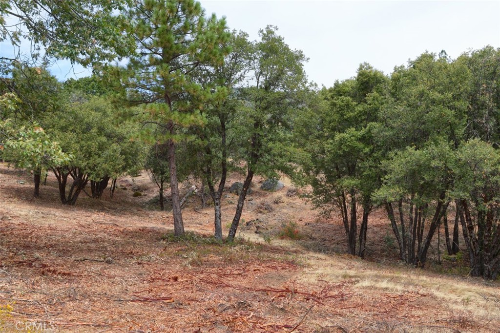 2232 Sunset Drive Property Photo 20