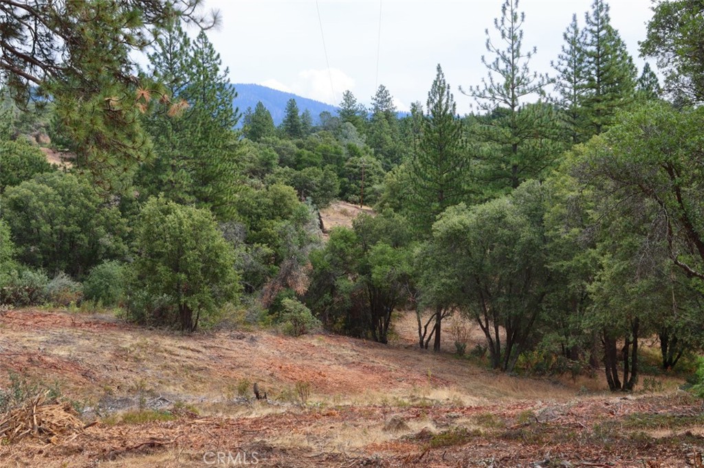 2232 Sunset Drive Property Photo 21
