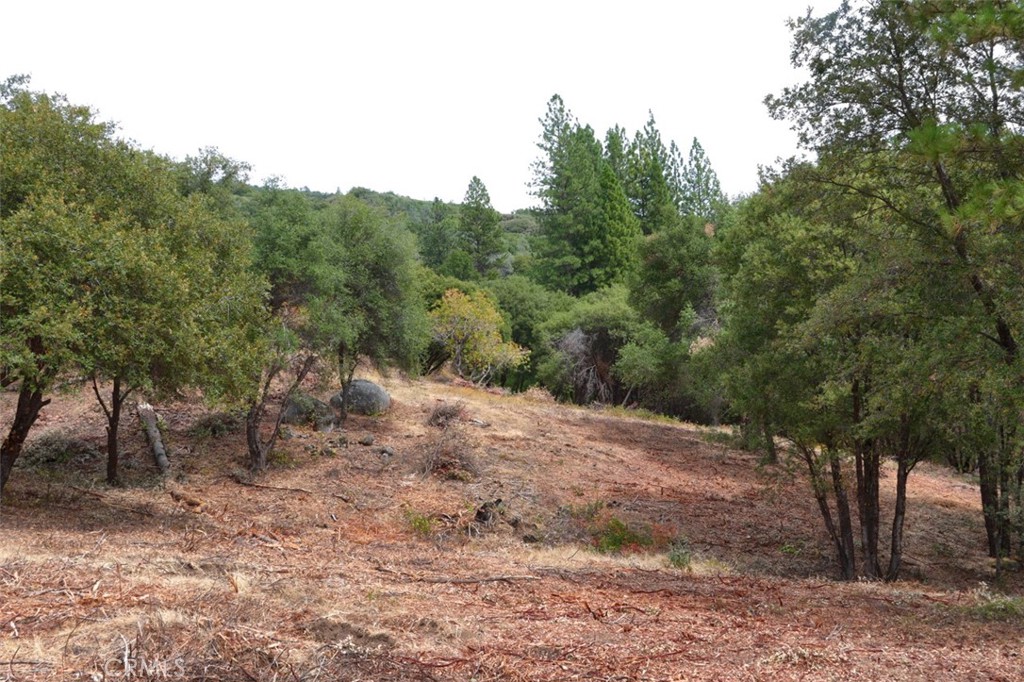 2232 Sunset Drive Property Photo 24