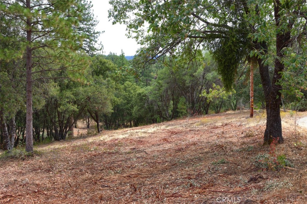 2232 Sunset Drive Property Photo 25