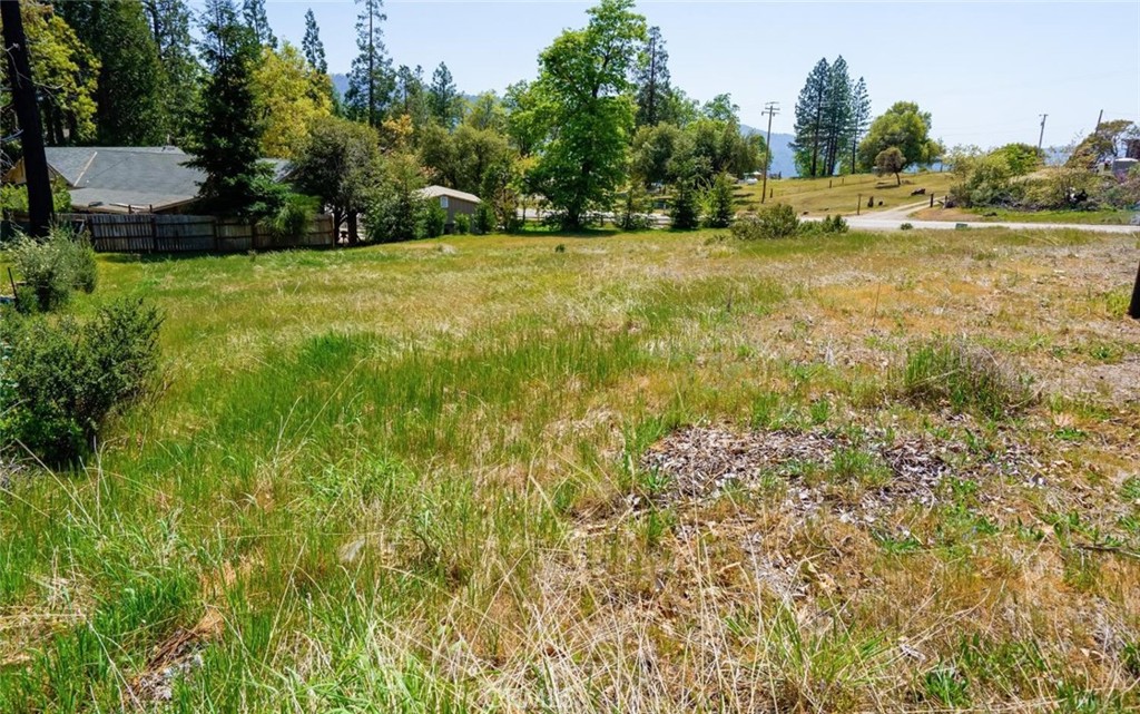52830 Pine Drive Property Photo 3