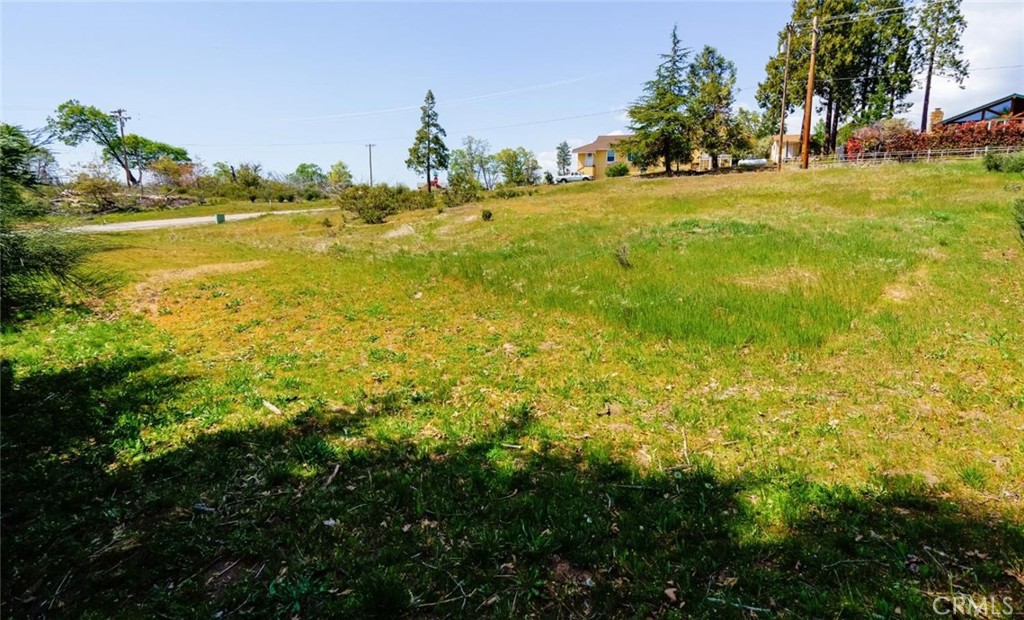 52830 Pine Drive Property Photo 5