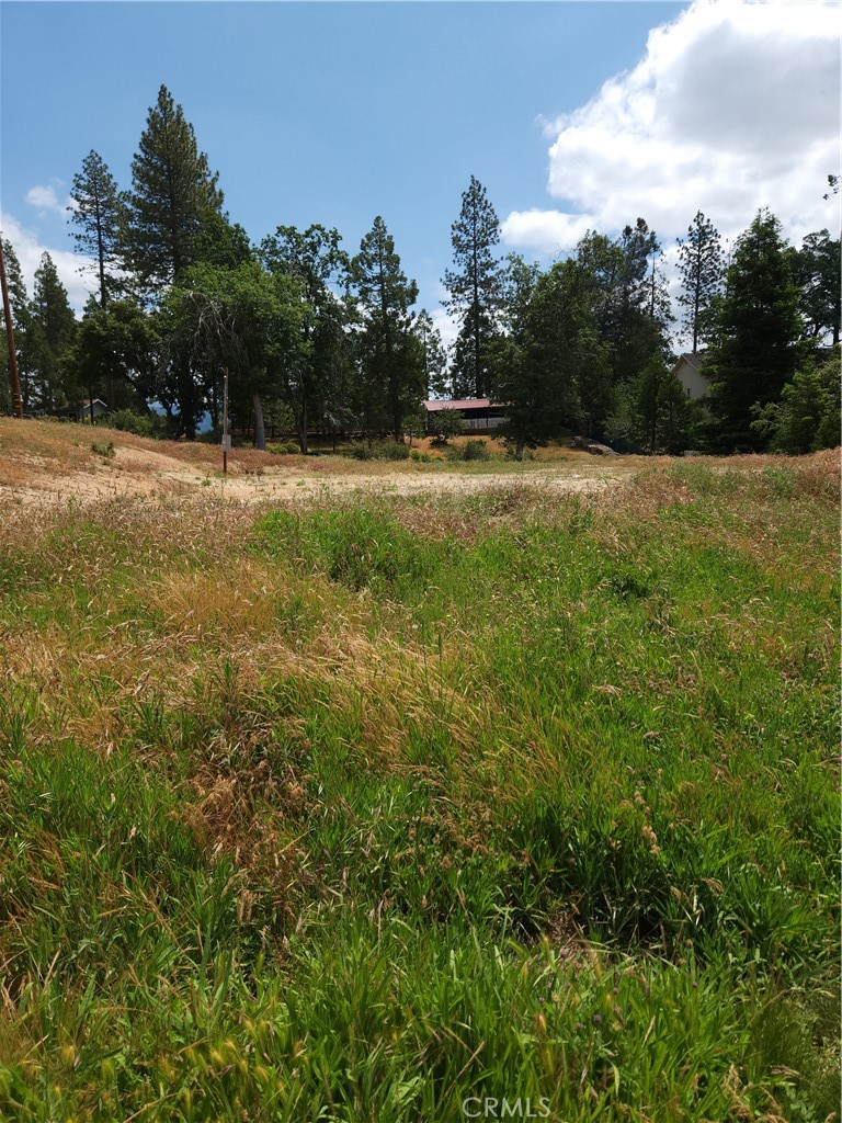 52830 Pine Drive Property Photo 6