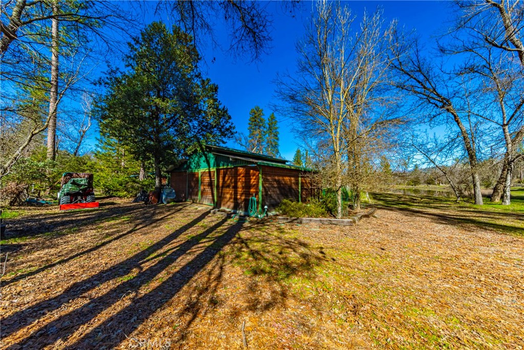 0 4.53 Ac Wortham Road Property Photo 4