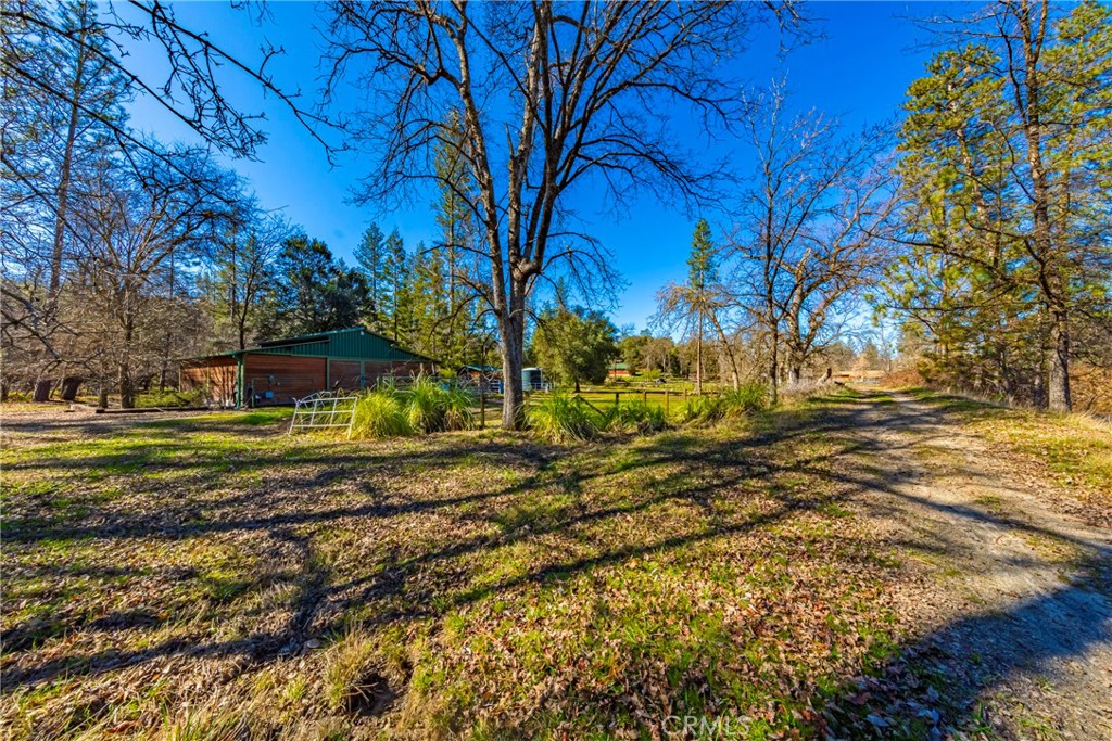 0 4.53 Ac Wortham Road Property Photo 7