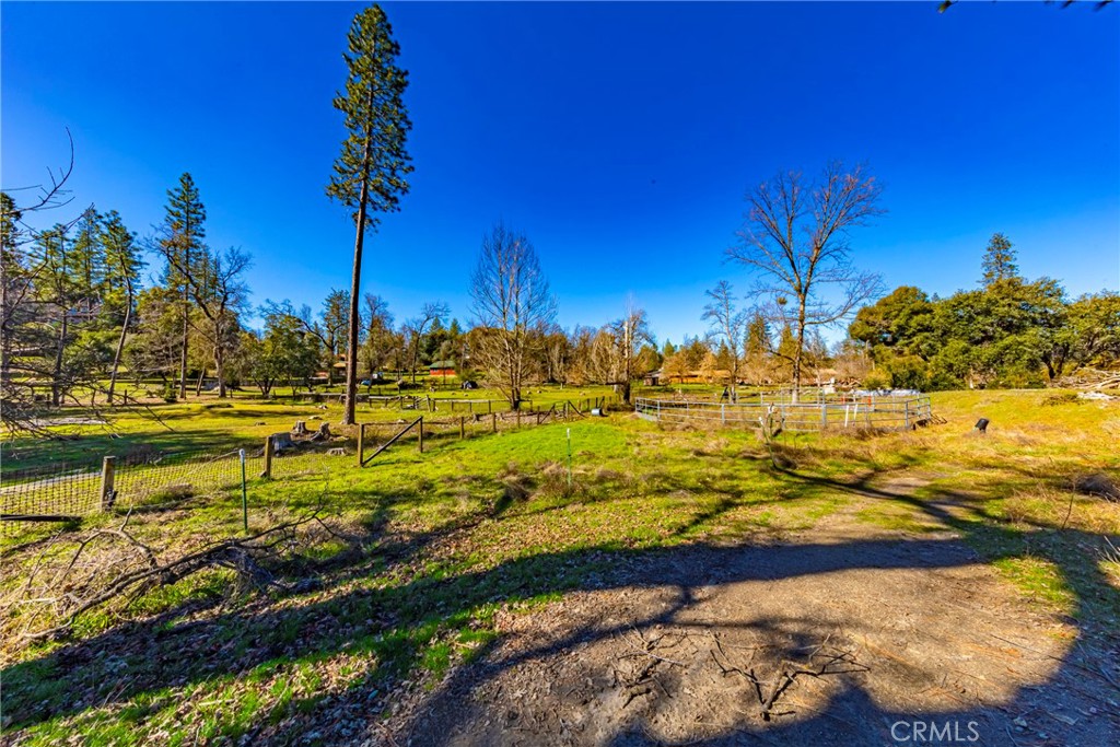 0 4.53 Ac Wortham Road Property Photo 8