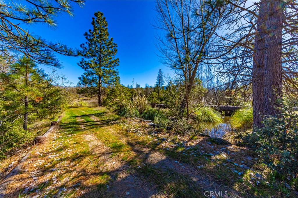 0 4.53 Ac Wortham Road Property Photo 12