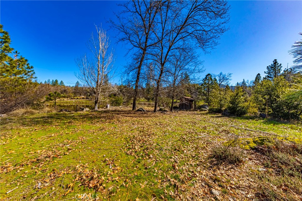 0 4.53 Ac Wortham Road Property Photo 15