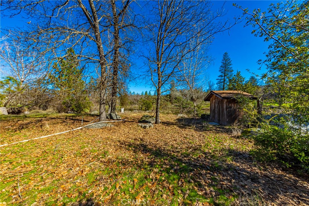 0 4.53 Ac Wortham Road Property Photo 16