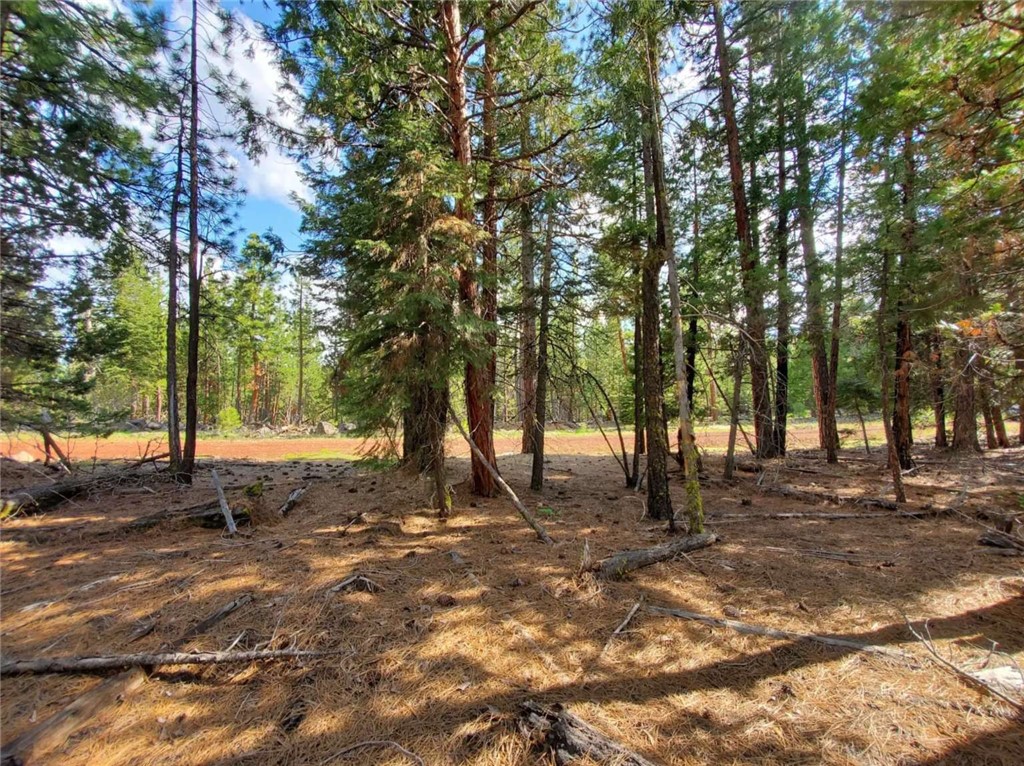 0 Sundown Road Property Photo 3