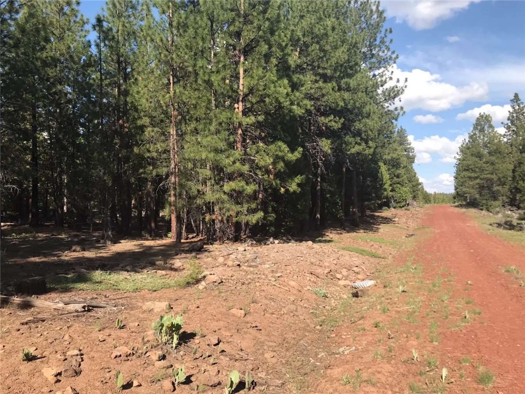 0 Sundown Road Property Photo 7