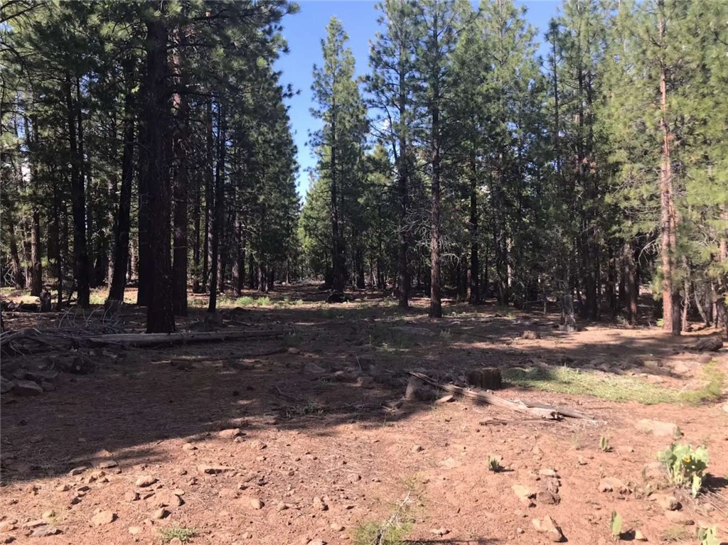 0 Sundown Road Property Photo 8
