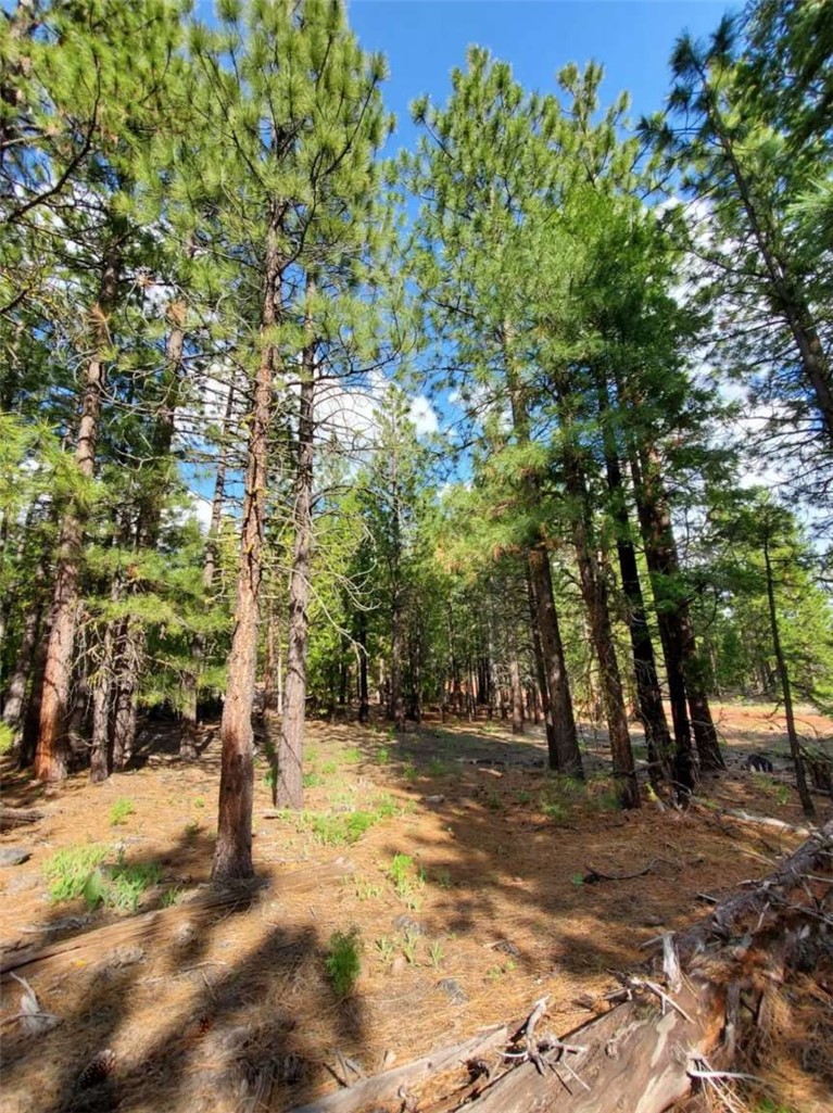 0 Sundown Road Property Photo 10
