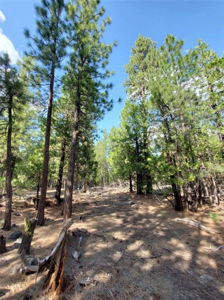 0 Sundown Road Property Photo 11