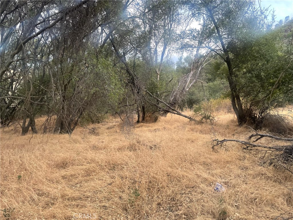 43020 Apache Ranch Road Property Photo