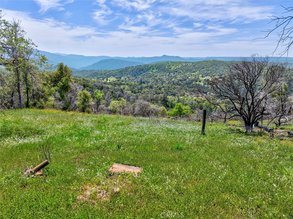 31188 Tera Tera Ranch Rd Property Photo 5