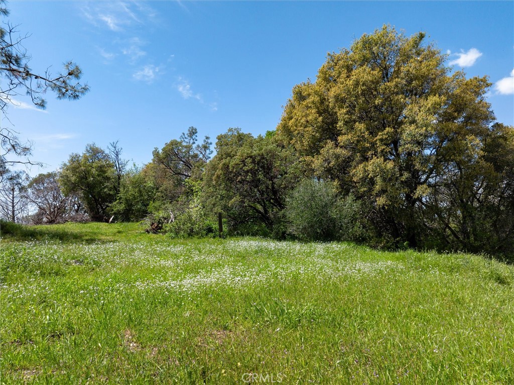 31188 Tera Tera Ranch Rd Property Photo 16