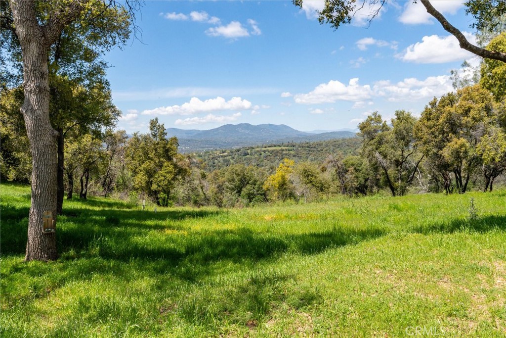 31188 Tera Tera Ranch Rd Property Photo 36