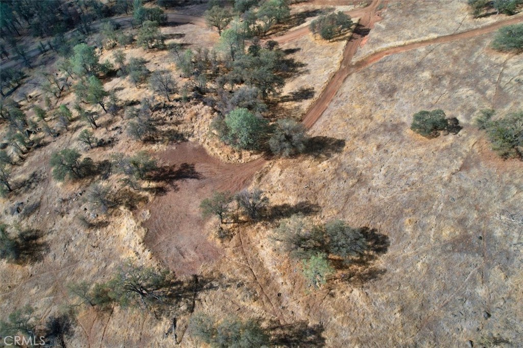 0 39.91 Ac Road 400 Property Photo 5