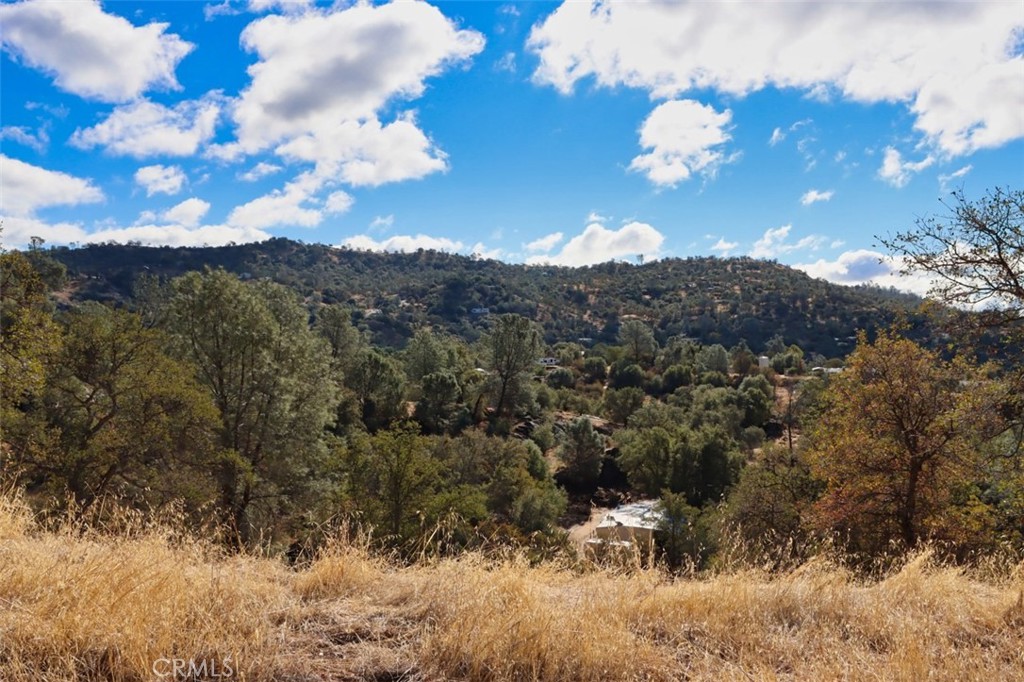 0 39.91 Ac Road 400 Property Photo 11