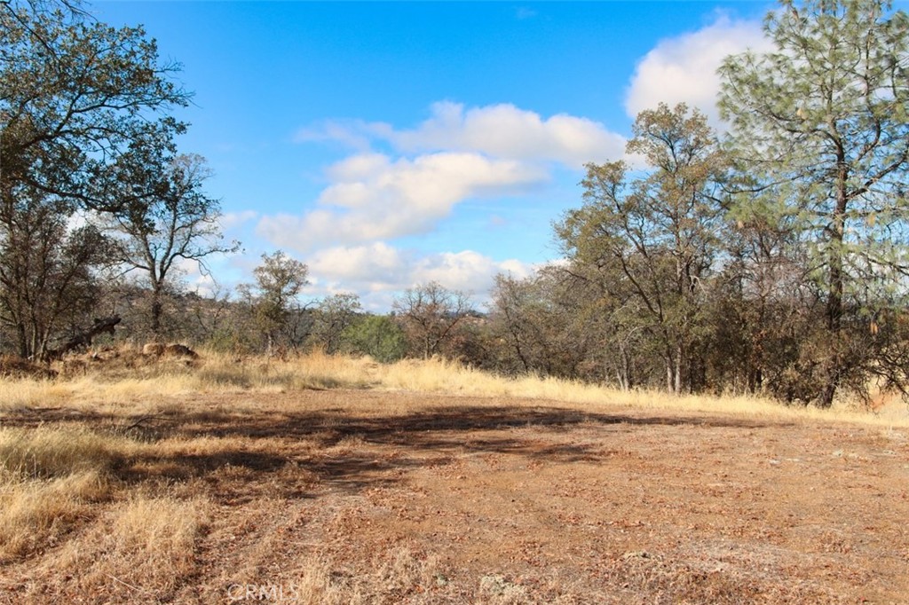 0 39.91 Ac Road 400 Property Photo 12