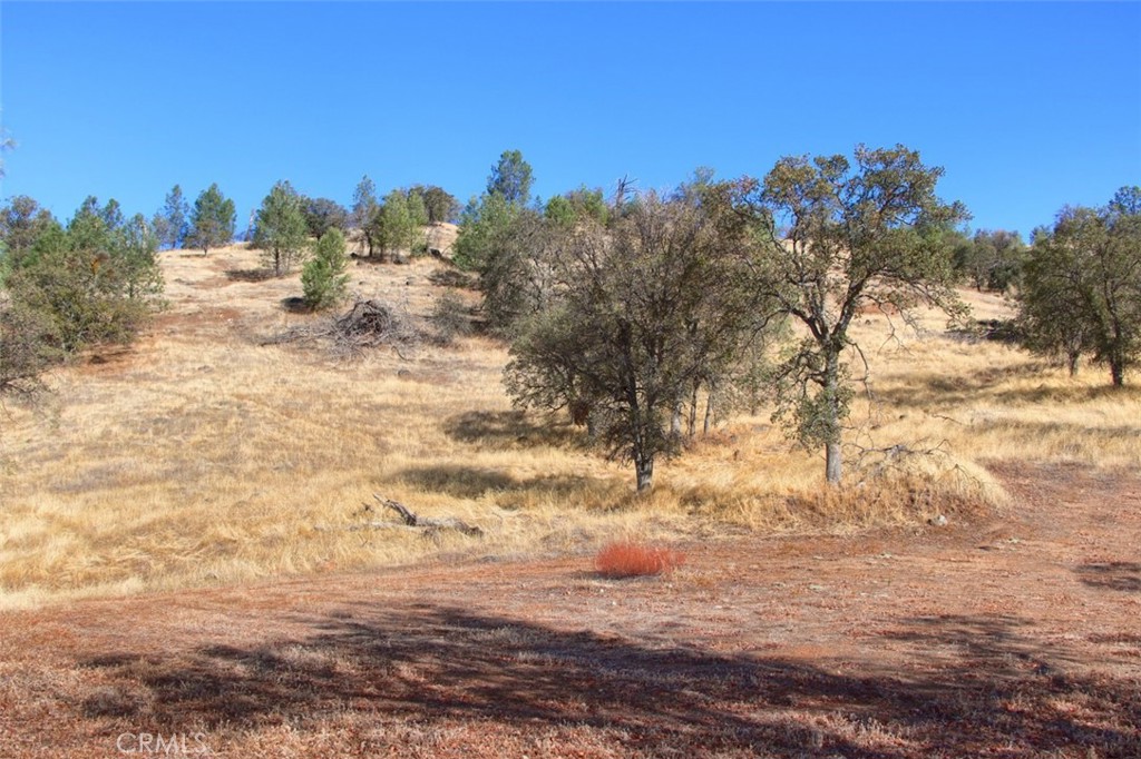 0 39.91 Ac Road 400 Property Photo 13