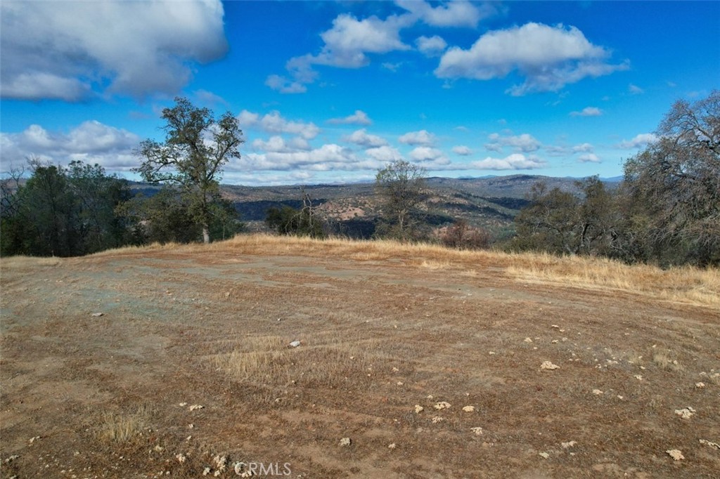 0 39.91 Ac Road 400 Property Photo 14
