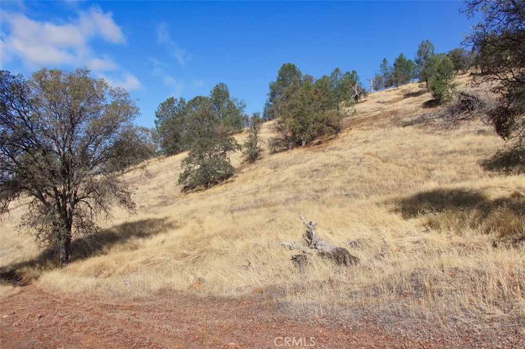 0 39.91 Ac Road 400 Property Photo 16