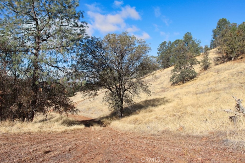 0 39.91 Ac Road 400 Property Photo 17