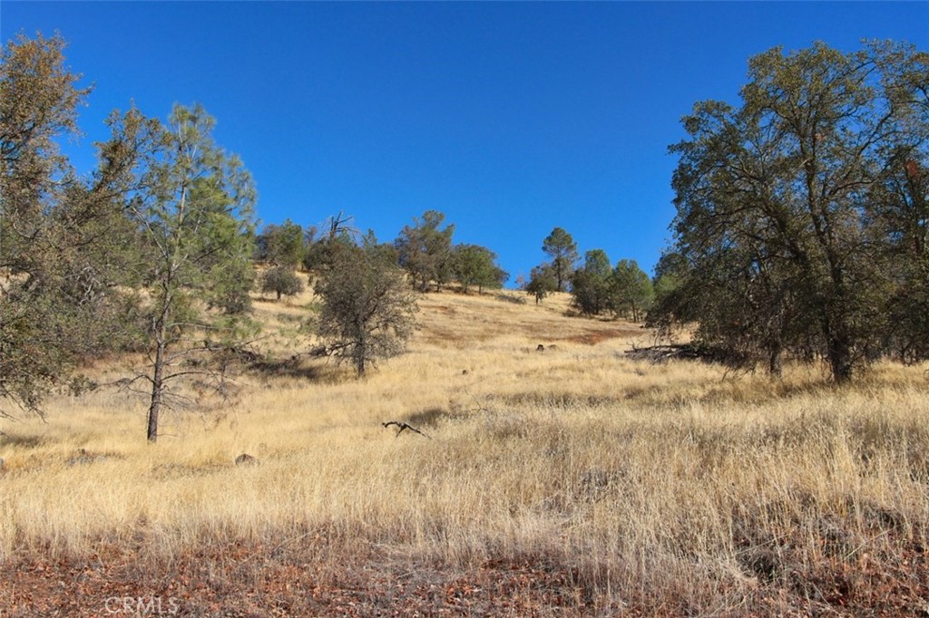 0 39.91 Ac Road 400 Property Photo 19